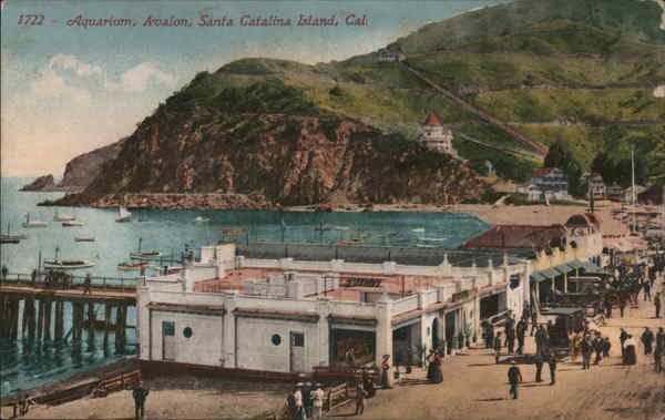 Aquarium, Avalon, Santa Catalina Island Avalon, California CA Original Antique Postcard