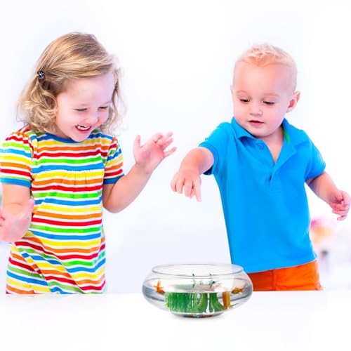 Image of NOLITOY Clear Fish Bowl Vase, Fish Tank Aquarium Bubble Round Shallow Planter Aquatic Plant Pot for Office Desktop Decorative