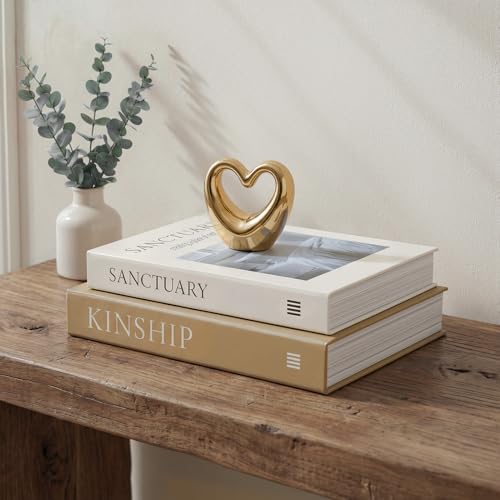 Fveuc Minimalist Fake Books Set