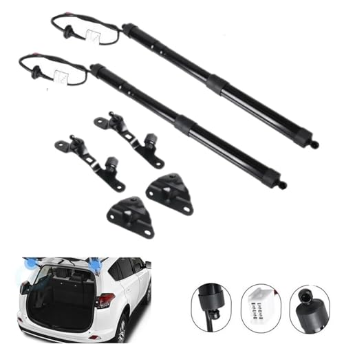 Support de levage pour hayon de coffre électrique de votre RAV4