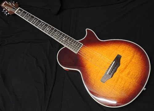 Amazon | ARIA APE-100 TS 薄胴 エレアコ エレクトリック