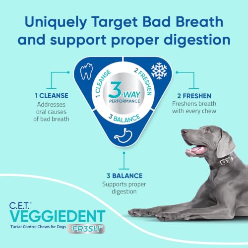 C.E.T. Veggiedent Fr3sh Plaque and Tartar Control Chews for Dogs, Small | Vet recommended dental chews, plant-based formula, supports canine digestive health, VOHC approved for plaque & tartar