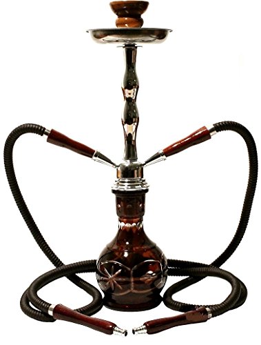 Zebra Smoke Starter Series: 18" 2 Hose Hookah Combo Kit Set w/ Instant Charcoal (3 Kings Charcoal), Hydro Herbal Molasses(like Blue Mist), and Hookah Mouth Tips Smoke More Then Hookah Pen (Brown)