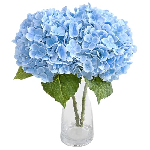 koundeneko AWTC z  2{Zbg VNt[ st  ֑} A[gt[  ͂Ȃ e[uZ^[s[X  p[eB[ z[fR[V DIYԍ ʐ^ Be