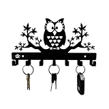 HeavenlyKraft Owl on Maple Trees Steel Key Holder, Steel Key Rack, Metal Key Cabinet, Owl Key hanger, Medal Hanger, Leash Hanger, 10.6 X 6.15 X 0.8 INCH