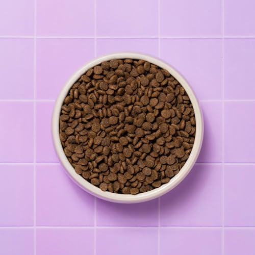 Pooch & Mutt - Health & Digestion, Complete Dry Dog Food (Grain Free), Salmon and Sweet Potato, 2kg - 5