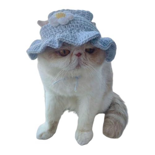 q̒aXqj[NȂj҂݃GKgp[eB[jbg^^ybgʐ^킢LANZT[