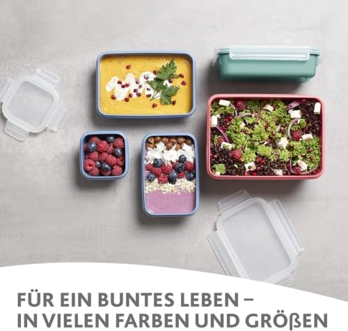 Emsa N10308 Clip & Close Color Edition 4-teiliges Frischhaltedosenset, 0,2/0,55/0,8/2,2 Liter, auslaufsicher, hygienisch, spülmaschinen… – Ansicht 2