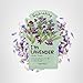 TONYMOLY I’m Lavender Sheet Mask – Korean Hydrating & Moisturizing Face Mask with Vitamin Infused Lavender & Rosemary Extract, Soothes Skin