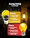 Sunco Yellow Light Bulbs Outdoor A19, LED Bug Lights for Outside Dusk to Dawn, 480 LM, 9W, 2000K Amber Glow, Auto On/Off Photocell Sensor, E26 Base, for Porch Patio Deck Backyard UL 4 Pack.
