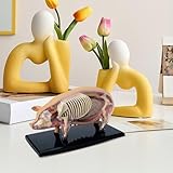 Zoom IMG-1 modello maiale anatomico smontabile kit Zoom IMG-1 modello maiale anatomico smontabile kit