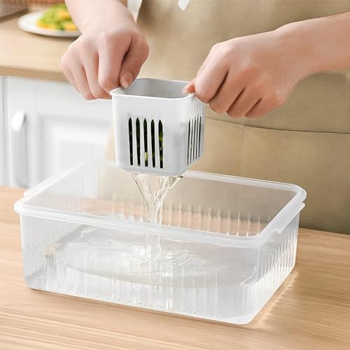 Image of TASMAX Fridge Storage Boxes, Plastic Fridge Containers, Fridge Accessories Items, (Fridge Storage 6GRID)