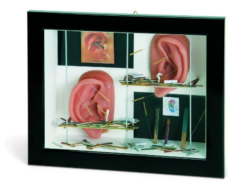 Présentoir mural acupuncture 3B Scientific pour ranger vos fiches