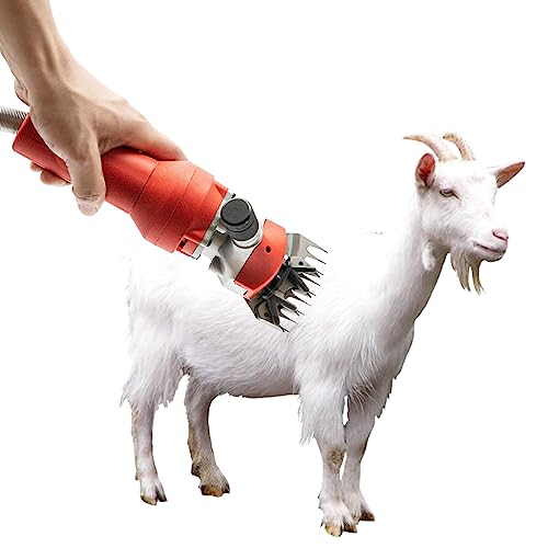 WUSILILU 1200W Sheep Shears, 9-Tooth Blade 2800r/min Manganese Steel Professional Heavy Duty Electric Sheep Clippers for Mianyang, Tibetan Sheep, Hu Sheep, Goats, Small-Tailed Han Sheep, Tan Sheep