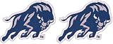 Desert Cactus Howard University Patch – Embroidered Iron On/Sew On Applique for Blazers, Jackets, Backpacks, Bags, Hats & Tactical Gear – Howard Bison (Patch - Design A) (Pack of 2)