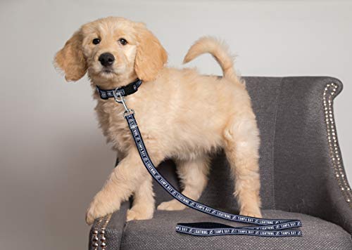 Pets First NHL Tampa Bay Lightning Leash for Dogs & Cats, Medium. - Walk Cute & Stylish! The Ultimate Hockey Fan Leash!, 4 ft Long x 0.62 in Width, LTG-3031-MD