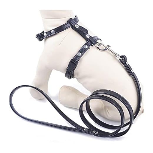 SOCHII Cat Dog Harness Leash Sets PU Leather Pet Traction Kitten Puppy Halter Collar for Pet Harness Belt Adjustable (XS, Black)