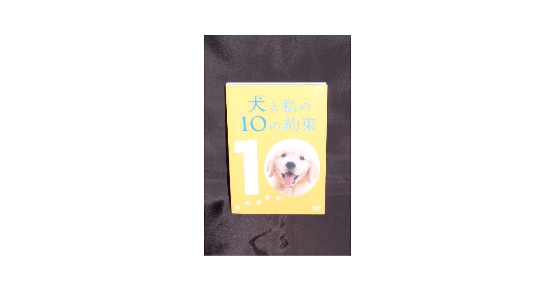 Amazon.com: 犬と私の10の約束[プレミアム・エディション](2枚組