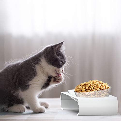 POPETPOP Tigela de Comida para Animais de EstimaÃ§Ã£o Tigelas de AlimentaÃ§Ã£o Dupla 15 Â° Boca OblÃ
