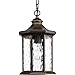 Progress Lighting P6529-20 Traditional/Classic 1-100W Med Hanging Lantern, Antique Bronze, 13.25x7.13x7.13