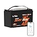 LiTime 2 Pack 36V 50Ah TM Bluetooth Low-Temp Protection LiFePO4 Battery Buit in 50A BMS, Deep Cycle Group31 Lithium Iron Phosphate Battery Perfect for Trolling Motors, Marine, Boat, Home Energy