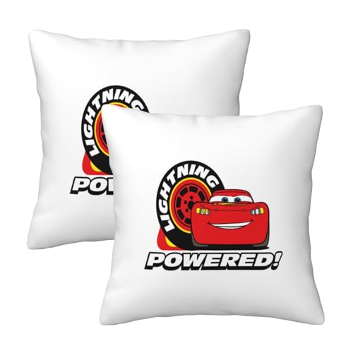 �N�b�V�����J�o�[ �J�[�Y ���J�o�[ 2���Z�b�g �s���[�J�o�[ �܂���J�o�[ �����` ���ɗD���� �_�炩�� ���� ������� �􂦂� �C���e���A �I�[���V�[�Y�� 45cm×45cm