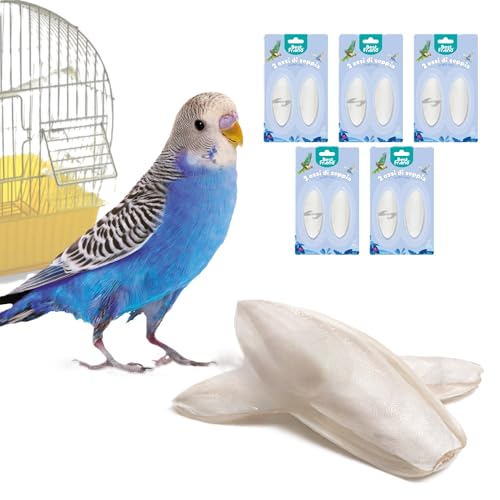 Best Friend - Osso di seppia naturale con gancio per