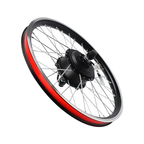 Aangeebone Kit di conversione per bicicletta elettrica, 20', 250 W, 36 V, con display LCD, freno elettronico, da due ruote, mountain bike, bici da spiaggia