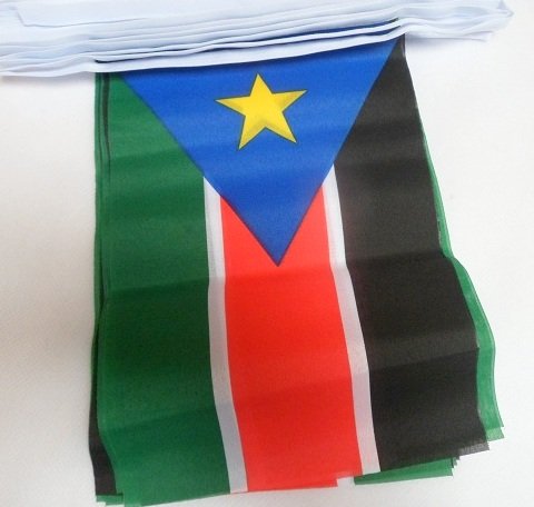 AZ FLAGSouth Sudan Flag Garland 6 Metres 20 Flags 21 x 15 cm – Sudanese South Flag 15 x 21 cm