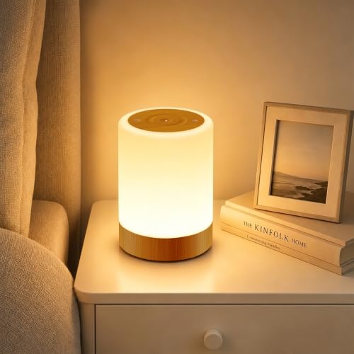 Auxmir Lampe de Chevet, Veilleuse LED avec 256 Couleur RVB, Lampe Ambiance sans Fil avec Minuteur, Veilleuse Allaitement Nuit Tactile, 3000mAh Rechargeable USB pour Chambre Enfant, Salon, Camping