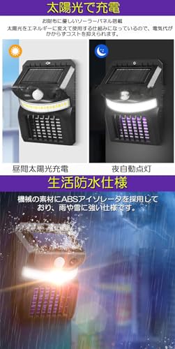 Logianami dE E \[[Cg led ZT[Cg 悯 _lZT[Cg  փCg (2Zbg)
