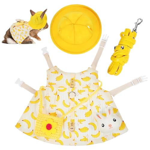 EXAOMBLE poiin[lXxXg ߉\ȋĕt Lk[h Xq obO u[` t@bVybg L t