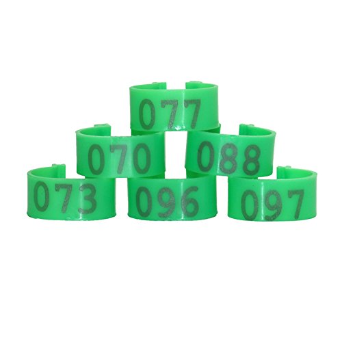 Adhere To Fly - Anillos para identificación de aves de corral (100 unidades, plástico, para gallinas, patos, gallinas, número 1-100)