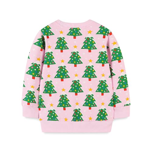 Boys Sweatshirts Casual Sweatshirts Cotton Sweatshirts Long Sleeve T-shirts Crew Neck Cartoon Tops for Boys-2252