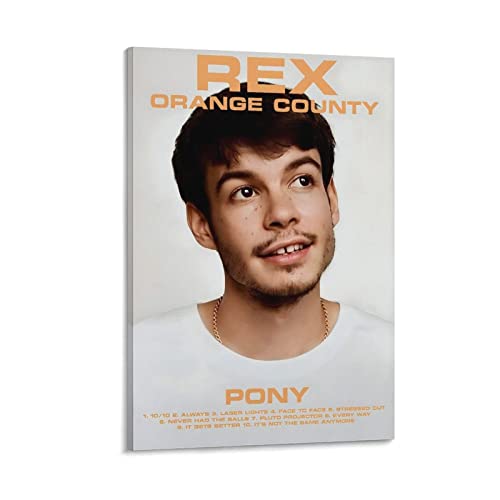 Impression sur toile Rex Orange County Pony 50x75 cm poster chambre
