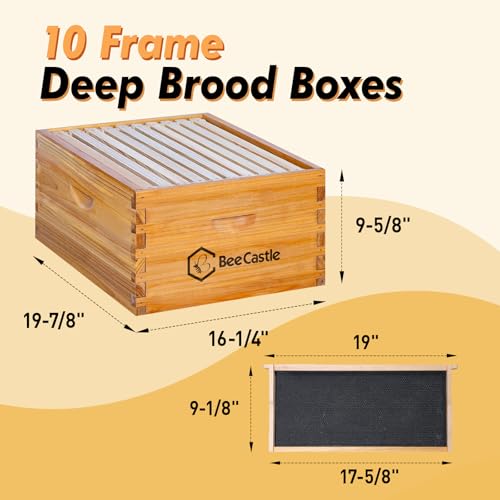 BeeCastle 10 Frame Langstroth Bee Hive Coated with Beeswax Includes Beehive Frames and Waxed Foundations (2 Deep Boxes & 1 Medium Box)