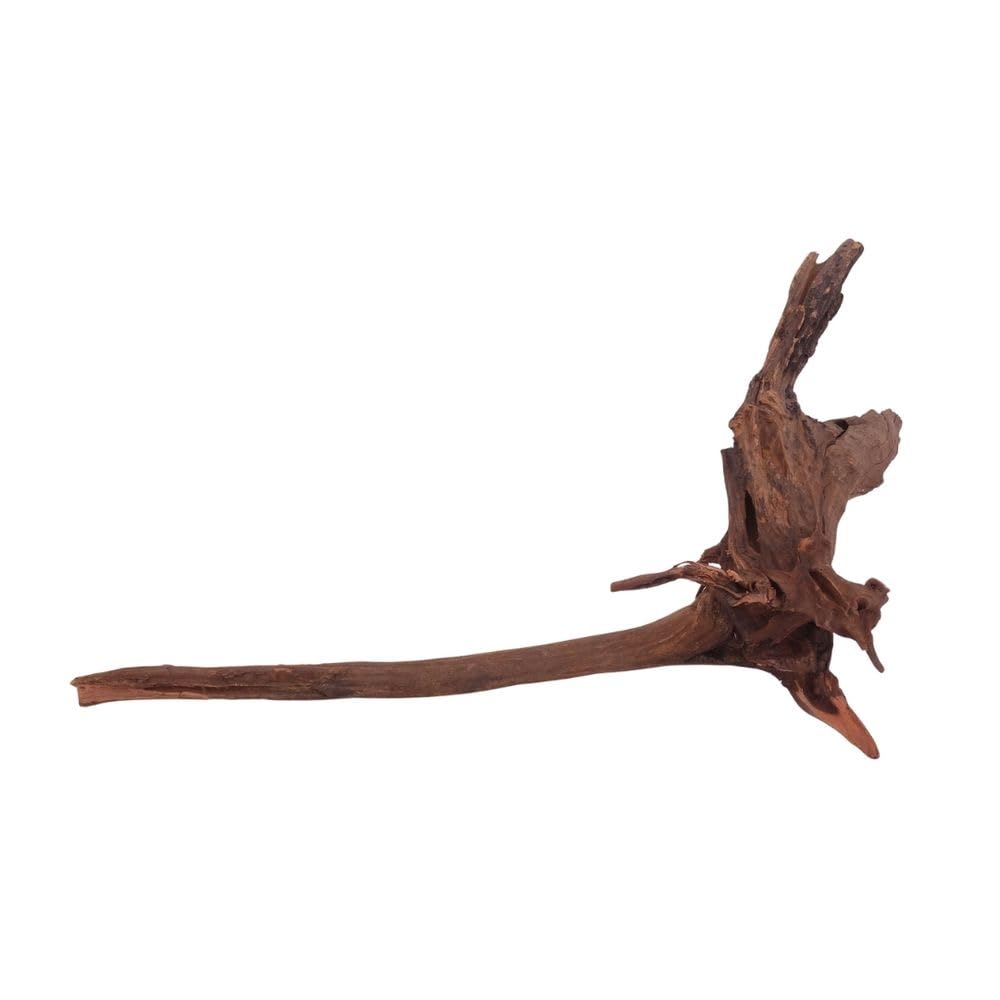 AquaOne Acuario Raíz Driftwood XL nº 3912 - Raíz de río Mangrove Madera Decorativa Paisaje Musgo Naturaleza Madera Auténtica