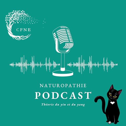 Th&eacute;orie du yin et du yang