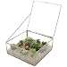 MyGift Vintage Brass & Clear Glass Decorative Box, 9.5-Inch Plant Terrarium Display, Jewelry Organizer with Lid