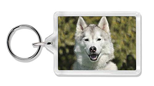 Preisvergleich Produktbild Advanta - Keyrings Husky-Hund Foto Schlüsselbund TierstrumpffüllerGeschenk