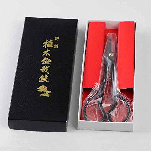 Wazakura Satsuki Bonsai Scissors