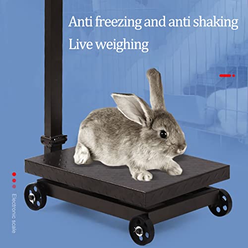 Cxwawsz 660Lb Large Platform Scale Floor Weight Computing Postal Scale Digital Perfect Industrial Platform Scale Foldable For Postal Luggage Shipping Mailing Weighing #TOP3