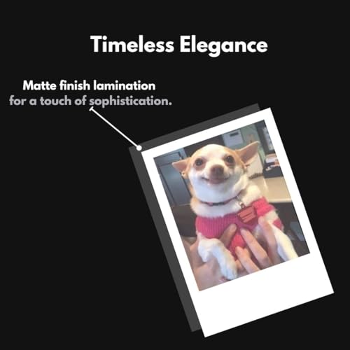 Image of Cute Dog & Puppy Poster Polaroids | Dog Memes Mini Posters Kit (Set of 15) | Dog PFPs Collage Kit Polaroids Sized (8 x 6 cm) Posters for Phone Accessories, Bedroom, Office, Living room (Dog Memes)
