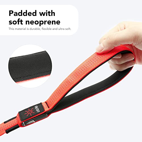 Colaseeme BISEN02 Led Dog Leash Light Up Dog Leash 4 Feet Micro Usb Rechargeable Nylon Webbing Glow Safety Standard Dog Leashes thumb #4