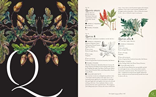 The Complete Language of Flowers: A Definitive and Illustrated History - Pocket Edition (Complete Illustrated Encyclopedia) - Image 6