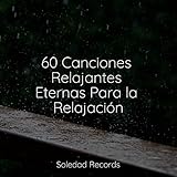Soledad Records