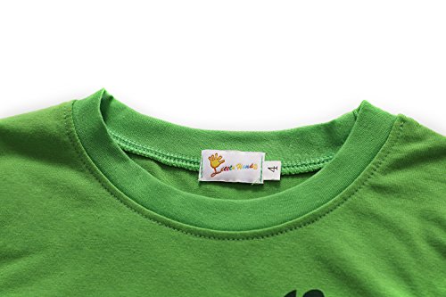 Toddler Boys Pajamas 100% Cotton Summer Pjs for Boy Jammies Dinosaur Train Little Kids Clothes Sleepwear Short Sets Size 2-7T4