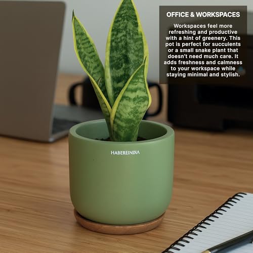 Image of Habere India-All the Cultures Fabricating India Plant Pot with Wooden Plate | Flower Pots for Dining Table & Home Decor | Terracotta Pot for Living Room Decoration (Green, Dia11 x H9.5 cm)