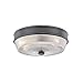 Mitzi H309501-OB Lacey Flush Mount, 2-Light 80 Total Watts, Old Bronze