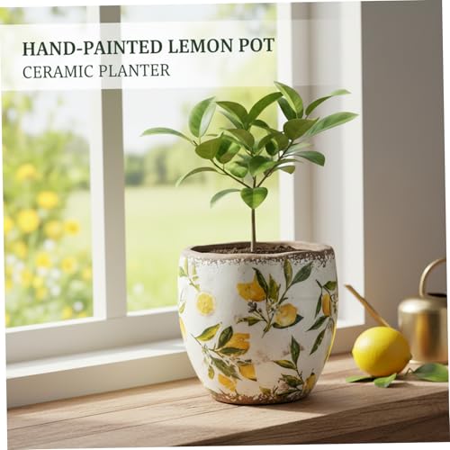 Pot de fleurs en céramique résistant vintage pour intérieur et extérieur